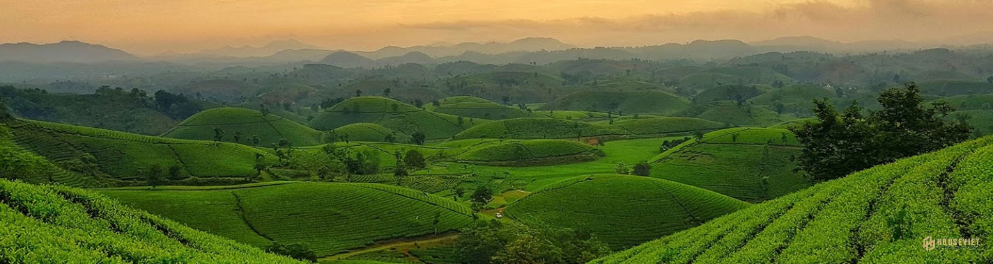 La Beaute' Bảo Lộc