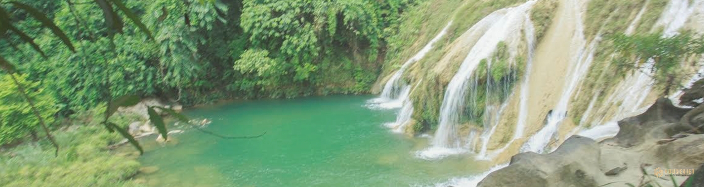 Spring Valley Tuyên Quang